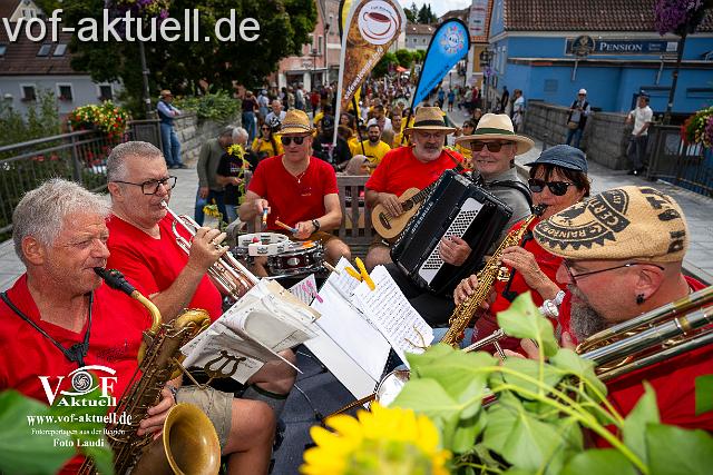 Foto Laudi_ Volksfestzug-109.jpg